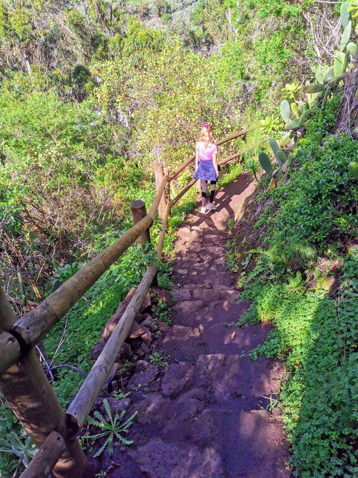 Los Tilos de&nbsp;Moya