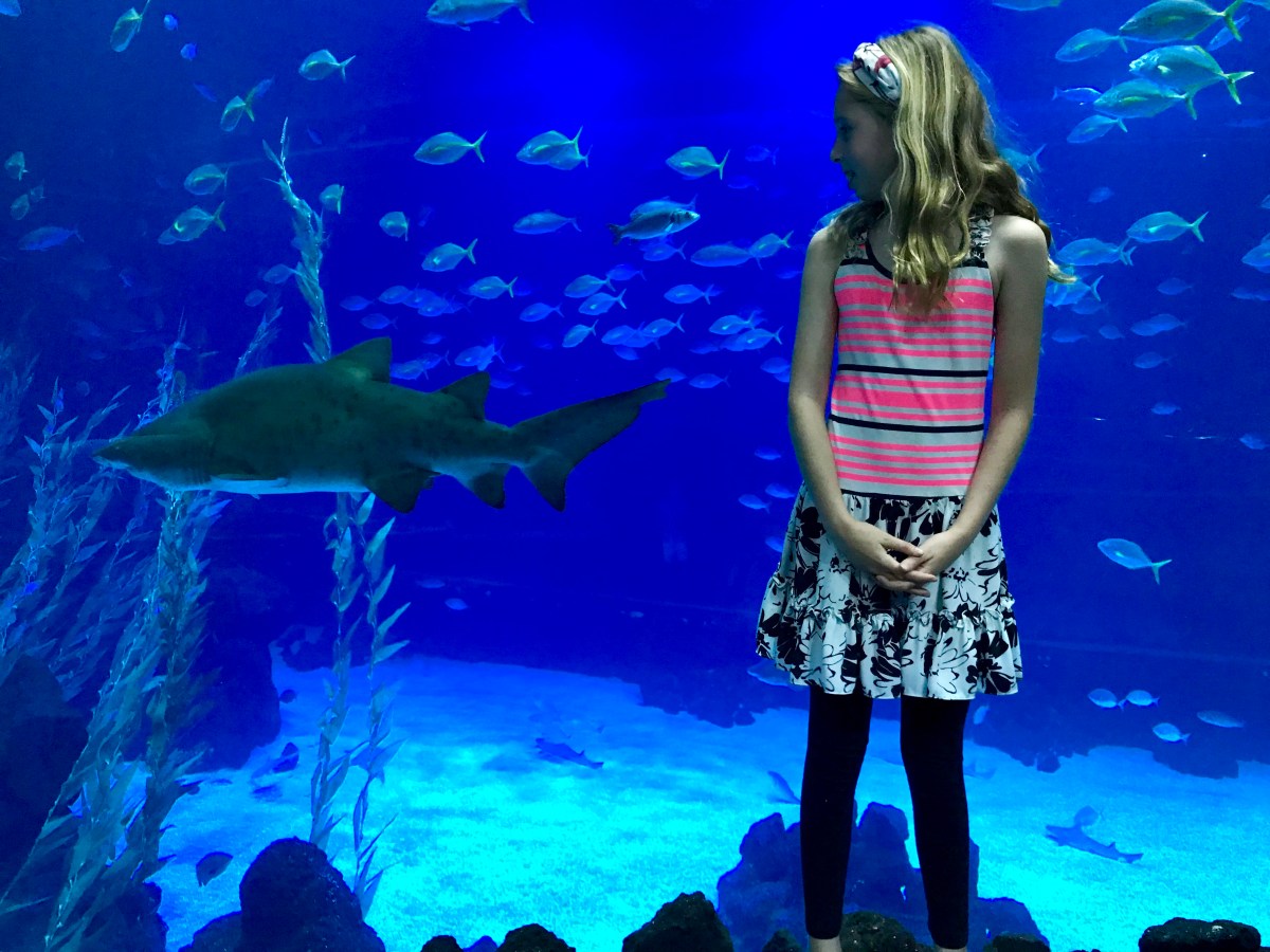 Poema del Mar&nbsp;Aquarium