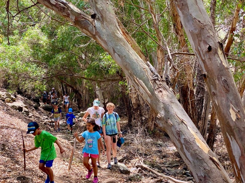 Barranco de Mascuervo