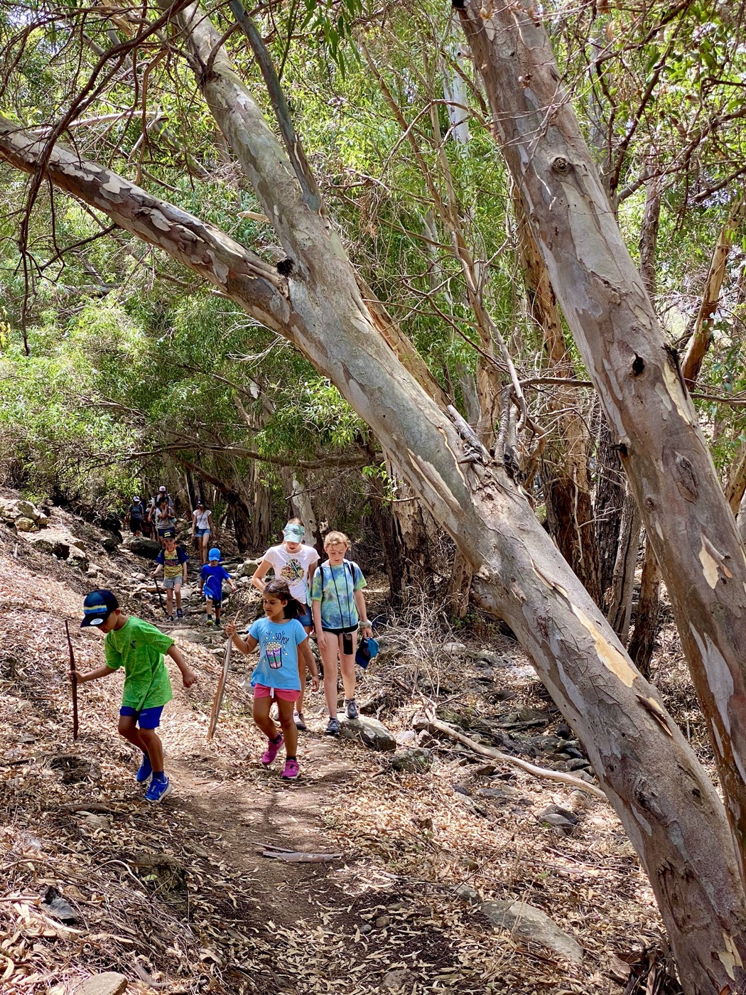 Barranco de Mascuervo